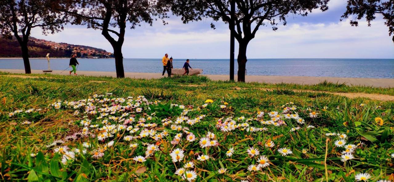 Sea Sun & Me Apartment Koper Luaran gambar