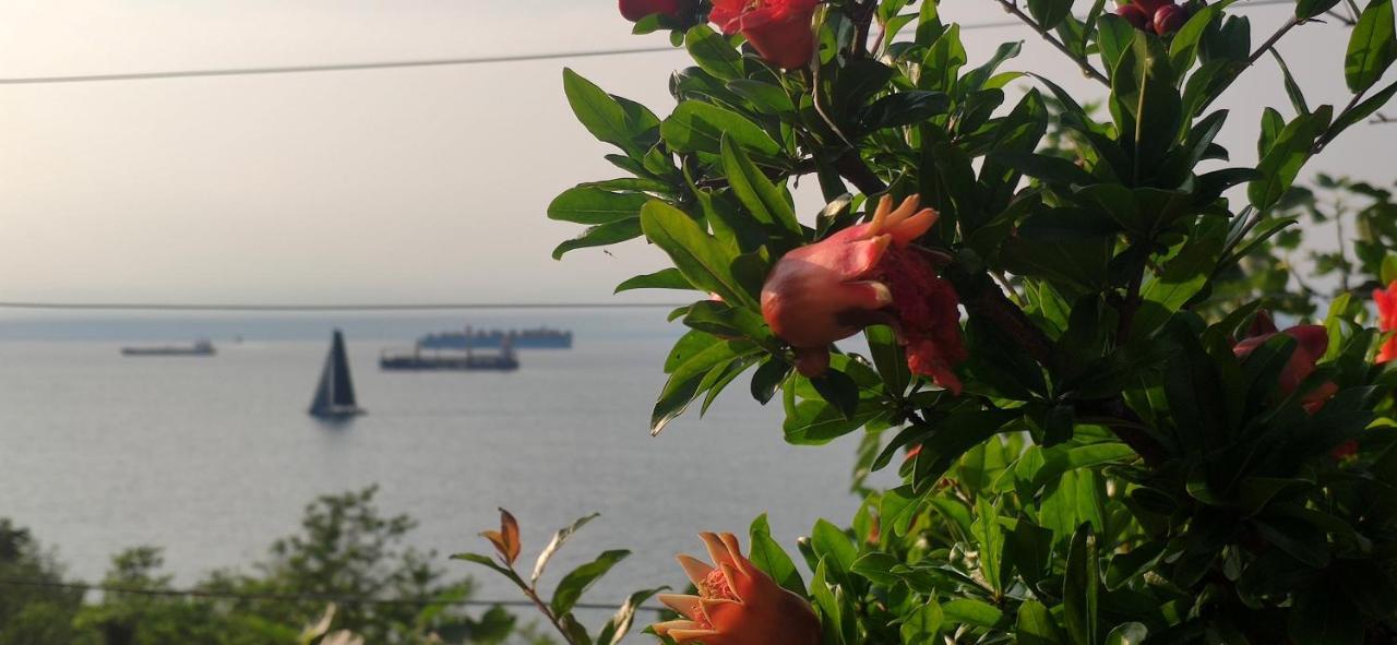Sea Sun & Me Apartment Koper Luaran gambar